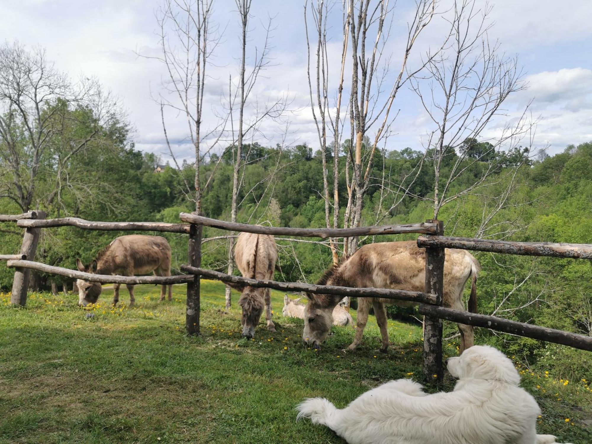 Gites Etche Arguinia Montory Exteriér fotografie